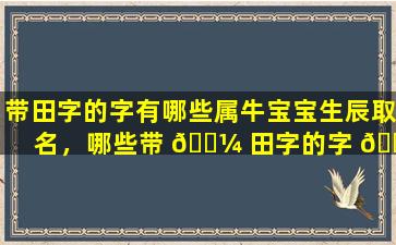 带田字的字有哪些属牛宝宝生辰取名，哪些带 🌼 田字的字 🐕 好听